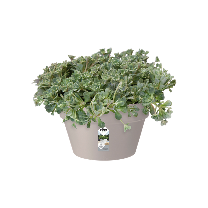 loft urban bowl 35cm warm grey